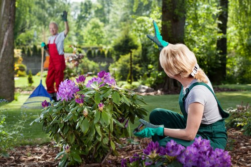 Soft landscaping project creating a neat planted garden in Regentspark