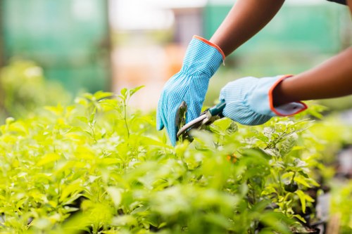Trusted payment methods for Landscaping Regentspark with security safeguards