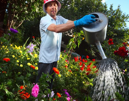 Outdoor garden improvements suited to local homes and apartments