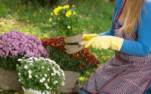 Landscaping Regentspark payments page emphasizing encryption and payment protection
