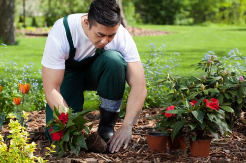 Stone path, edging, and outdoor surface installation in Regentspark