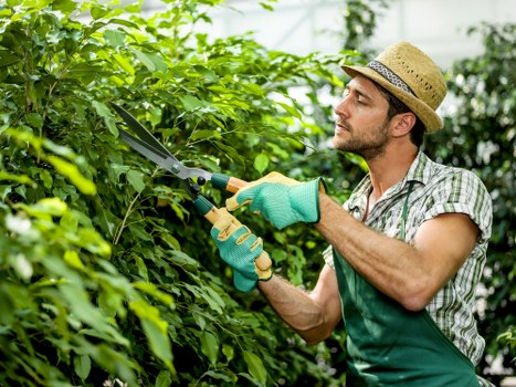 Sustainable landscaping work supporting recycling and cleaner urban spaces