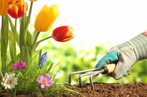 Closeboard and decorative fencing options for local homes and gardens