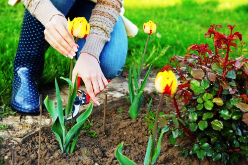 Drainage and groundwork for artificial grass installation