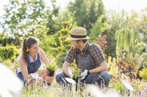 Professional garden drainage service for a Regentspark property